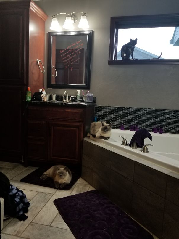 Ever Feel Like You're Being Watched?!?