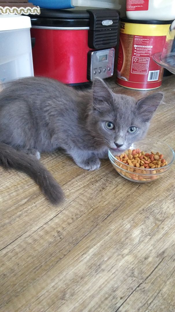 My Jasper Is A Beautiful Blue/gray Color.