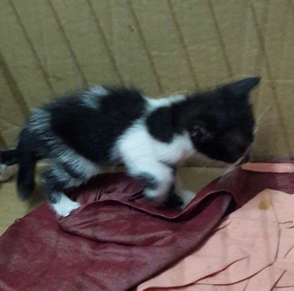 My Newborn Carrying The Love...