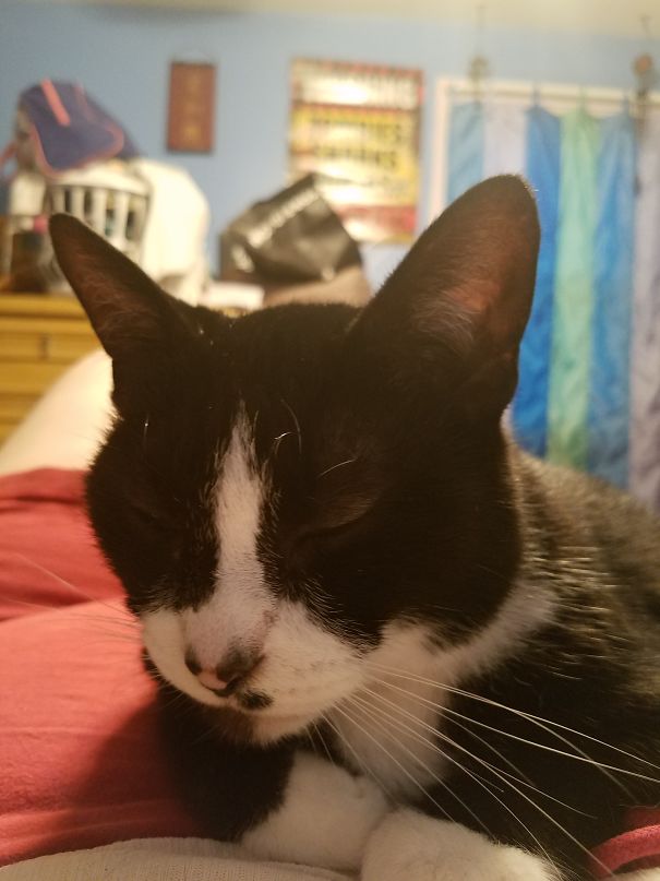 My Kacey Girl Has A Beauty Mark By Her Nose.