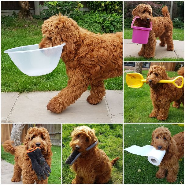 Proud Fred Always On The Lookout For New Finds To Show Off With....