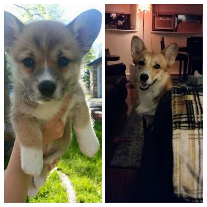 Before She Came Home And Her Most Recent Picture 😍