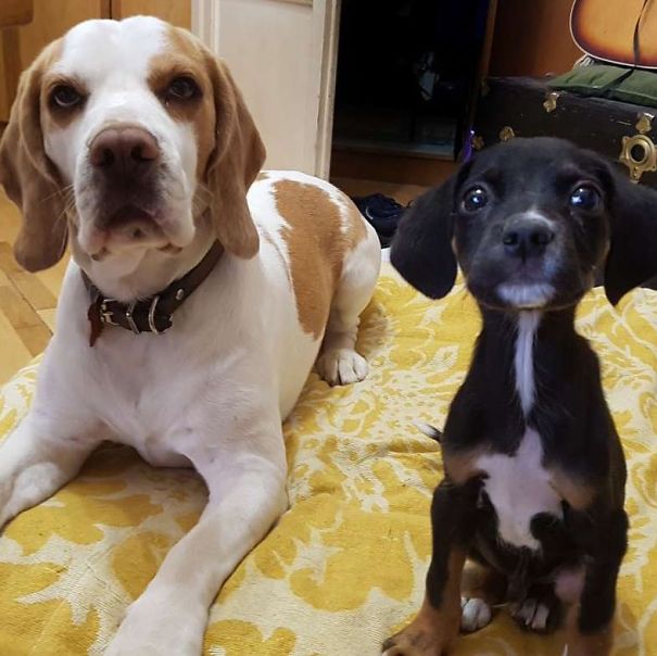 Cat, Ofc, Is Not In Photo :)