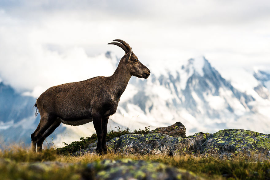 Best Day Hike In Chamonix