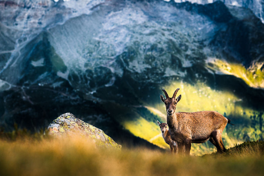 Best Day Hike In Chamonix