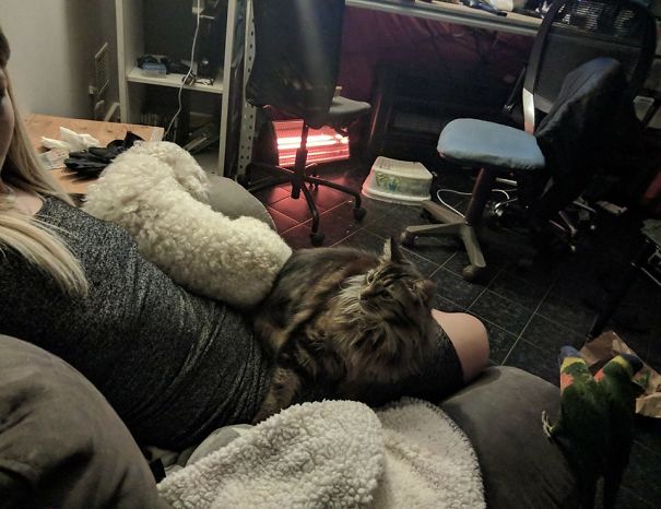 Heres About 30% Of My Crew.. Way Too Hard To Get Them All In One Pic!!!