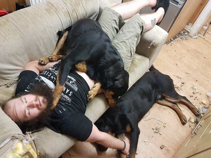 Kiki Almost Two And Still Needs To Lay On Me (and Deny Zeus Use Of The Couch Too)