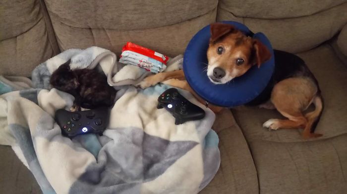 They Don't Understand That This Wasn't Set Out For Them...