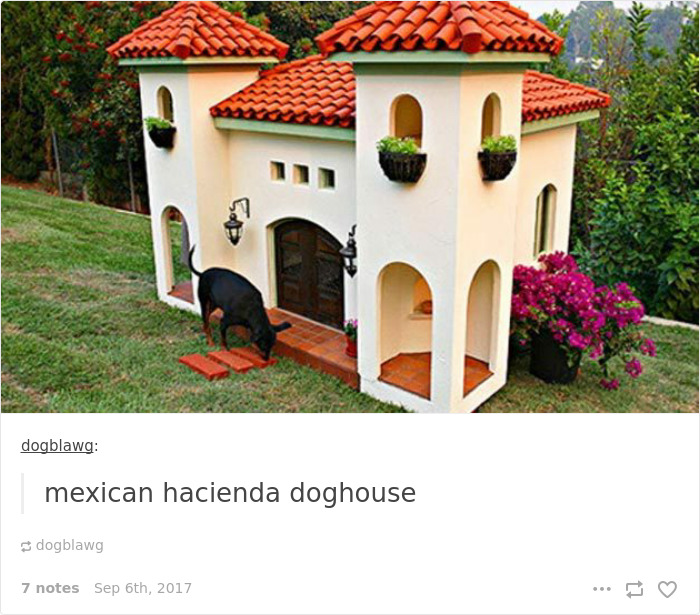 Spoiled-dogs-that-live-better-than-you