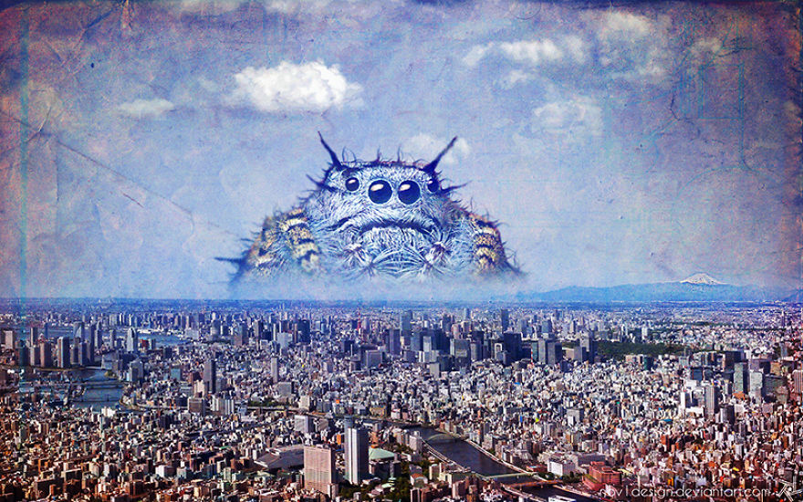 I Made 25 Eyebrow-Lifting Pictures