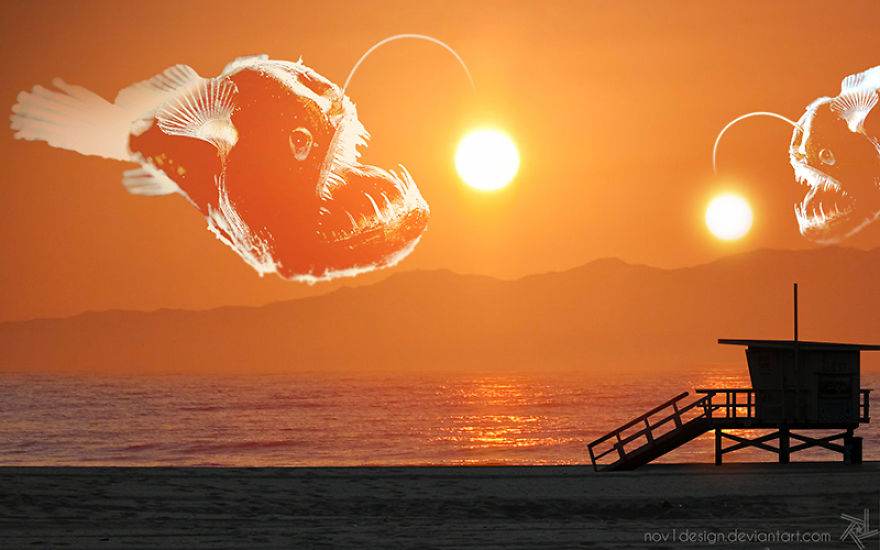 I Made 25 Eyebrow-Lifting Pictures