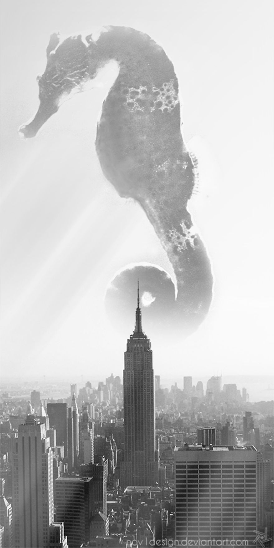 I Made 25 Eyebrow-Lifting Pictures