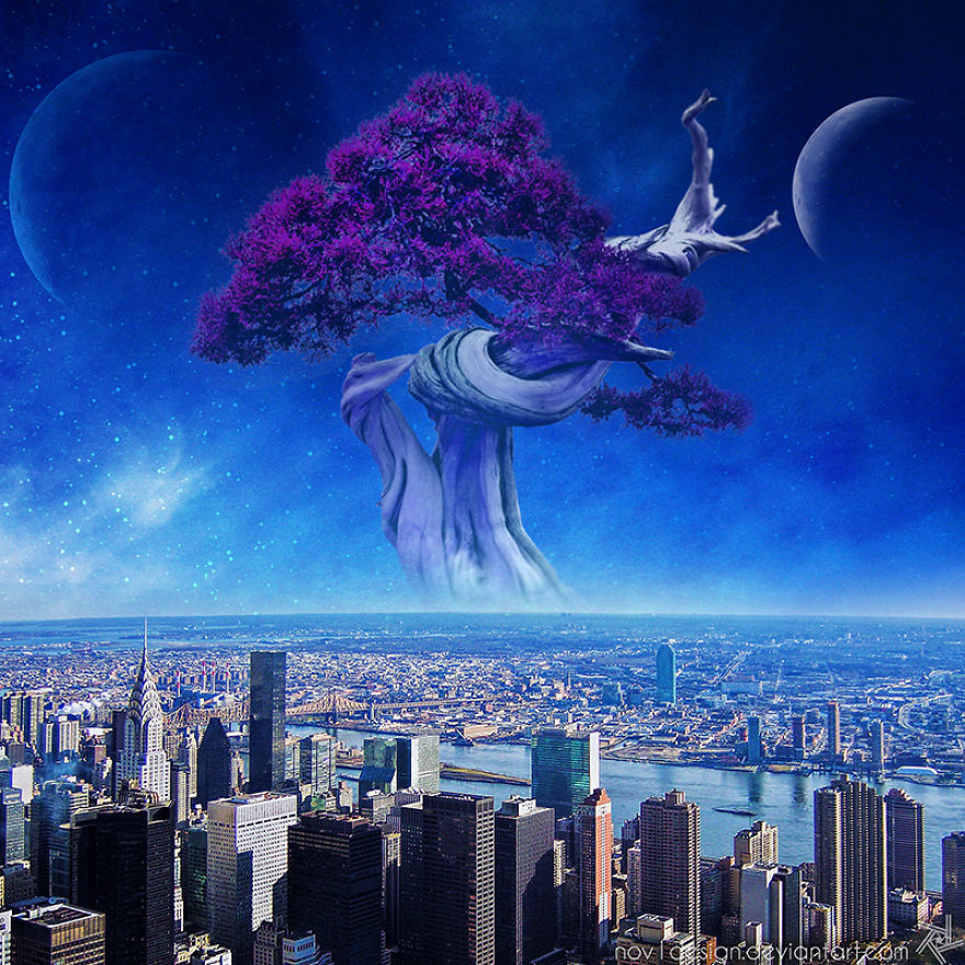 I Made 25 Eyebrow-Lifting Pictures