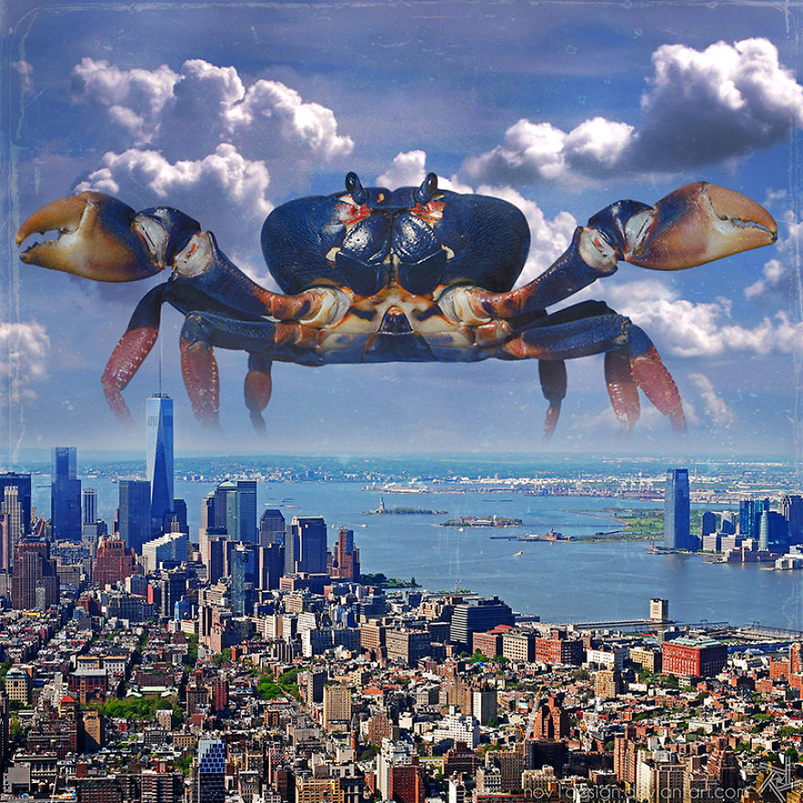 I Made 25 Eyebrow-Lifting Pictures