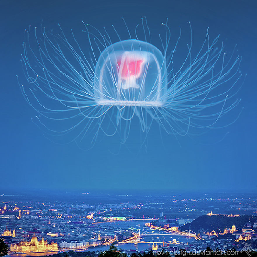 I Made 25 Eyebrow-Lifting Pictures