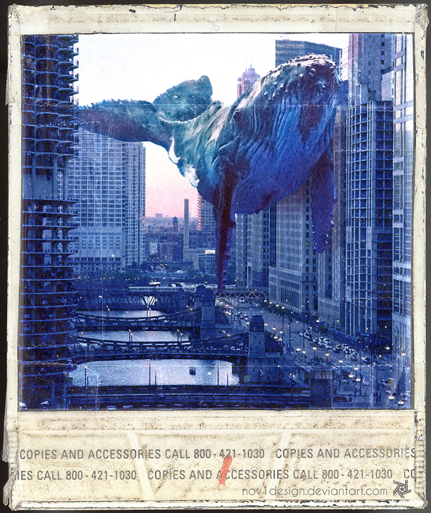 I Made 25 Eyebrow-Lifting Pictures