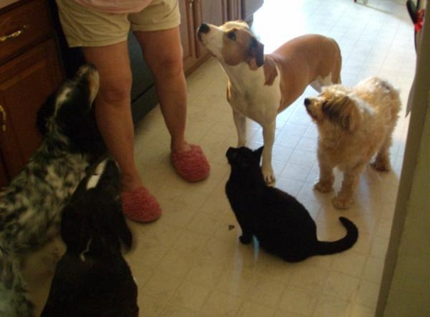 They Suspect Nothing