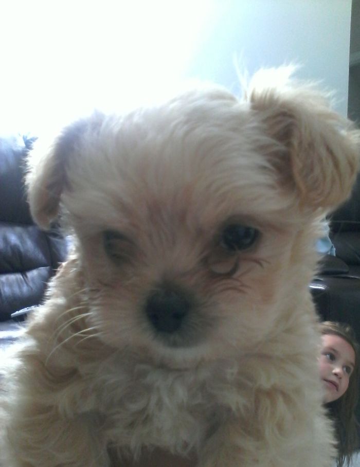 This Is Cookie The First Day We Got Her. (Don’t Mind My Sister In The Background)