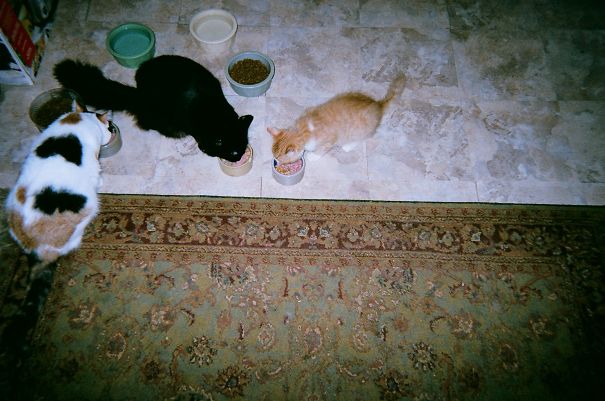 Supper Time At My House...