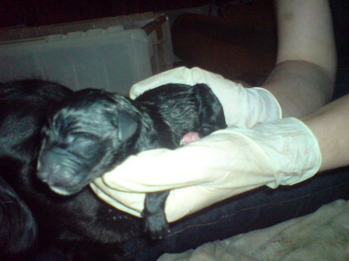 I Met Some Of My Babies At Birth, Since I Was The Midwife!