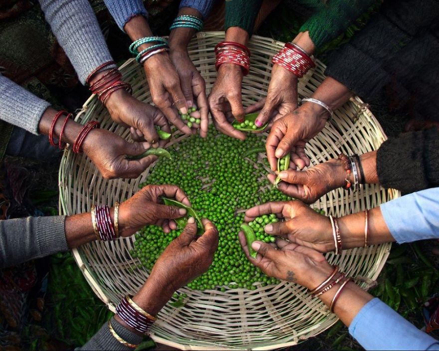 Outstanding Photographs That Will Impress You