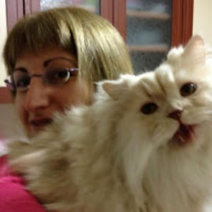 bengutaskesen avatar