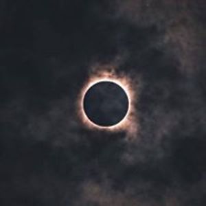 mariewatkinscrocker avatar