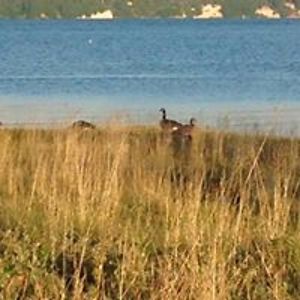 normascottage avatar