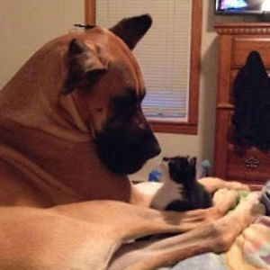 julietfischer avatar