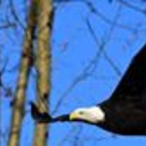 raymond_n_cristo avatar