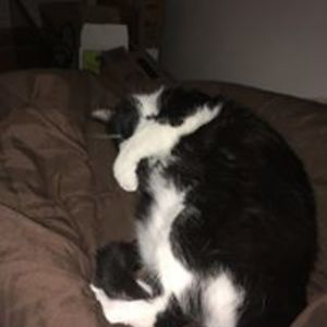 aresduffy1983 avatar