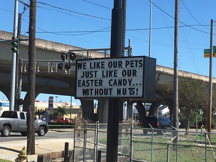 Funny-veterinarian-signs