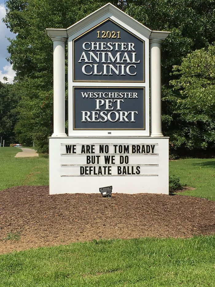 Funny-veterinarian-signs