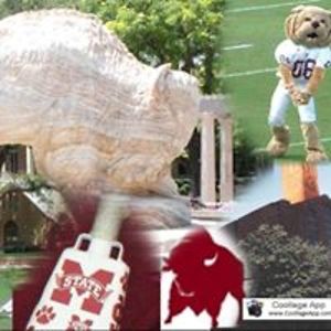 bristermary49 avatar