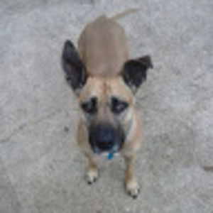 emilysutherland avatar