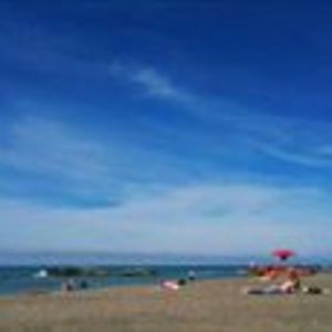 daniela_chirita avatar