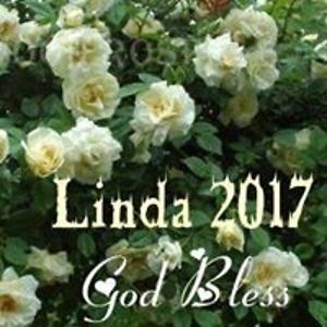 ladyofleisure11 avatar