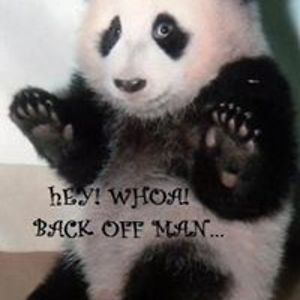 deborajospurlock avatar