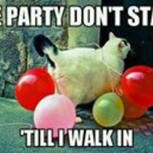 dragonheart_8706 avatar