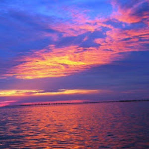 mackenziekatrenya avatar