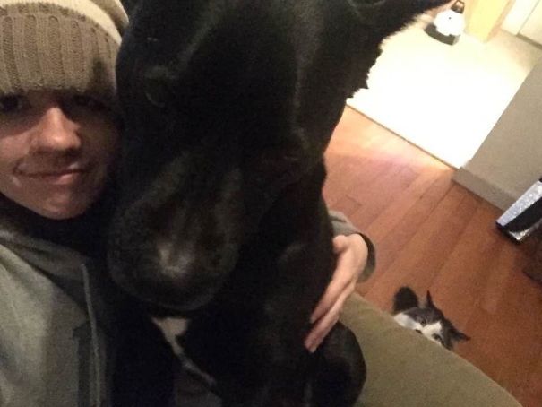 There Is An 80-pound Dog In My Lap Because He Is Afraid Of Being Catslapped