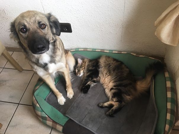 You Left Your Bed, So It Is Mine Now