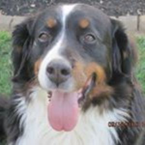 surething2009 avatar