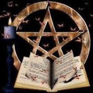 jansenbettina avatar