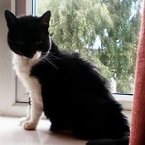 abritabroad119 avatar