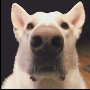 marilynbarkhouse avatar