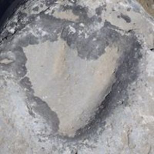 davidandlisa13 avatar