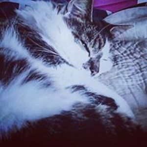 bethanysautumn avatar