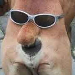 imbrica_spicek avatar