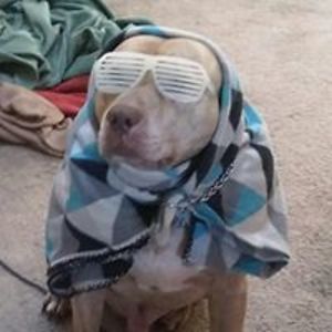 jsfairchild1020 avatar